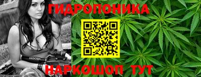 стафф Чебоксары