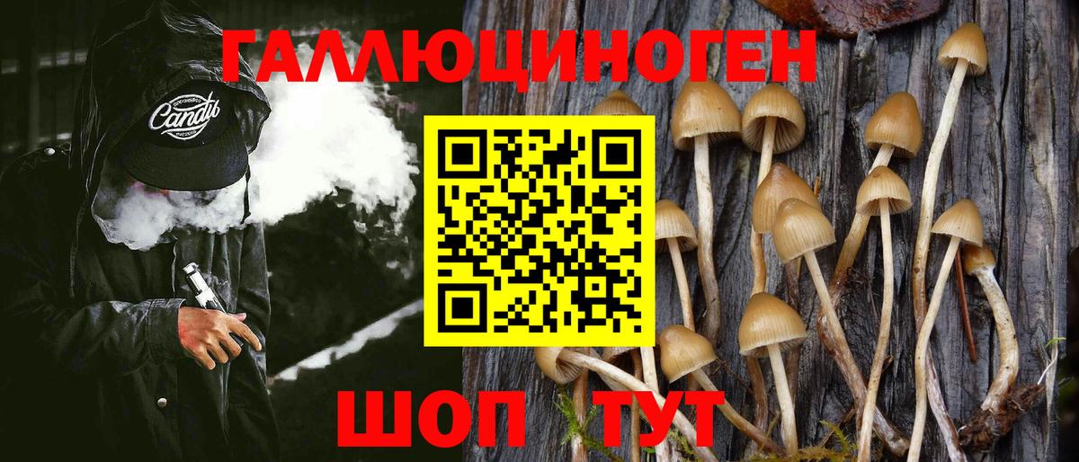Галлюциногенные грибы Psilocybe  Вход с VPN  Людиново 